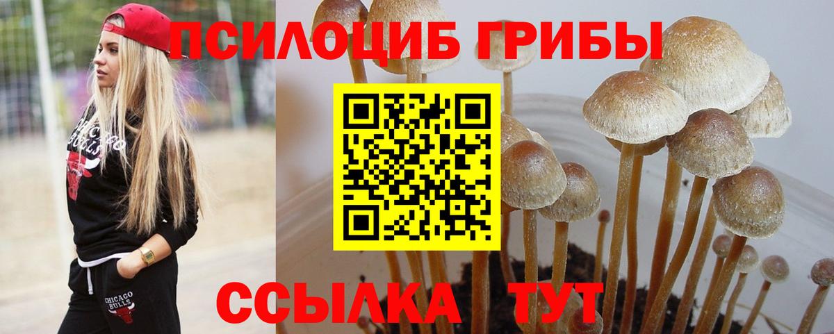 Псилоцибиновые грибы Psilocybine cubensis  хочу   Вход с VPN  Оренбург  Галлюциногенные грибы Psilocybine cubensis 